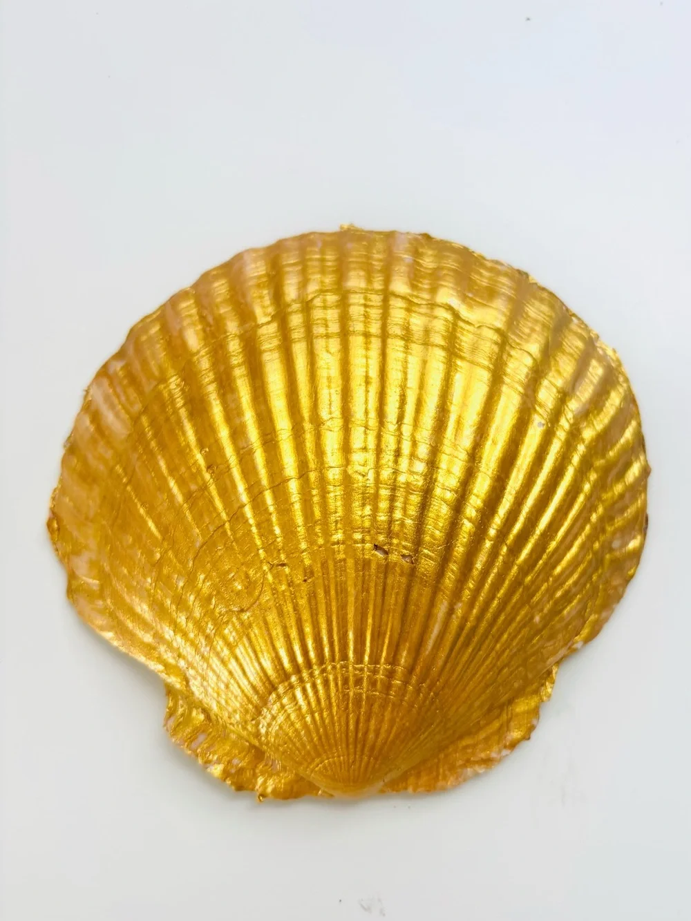Handcrafted Scallop Shell Trinket Dish w/Grill Decoupage Design